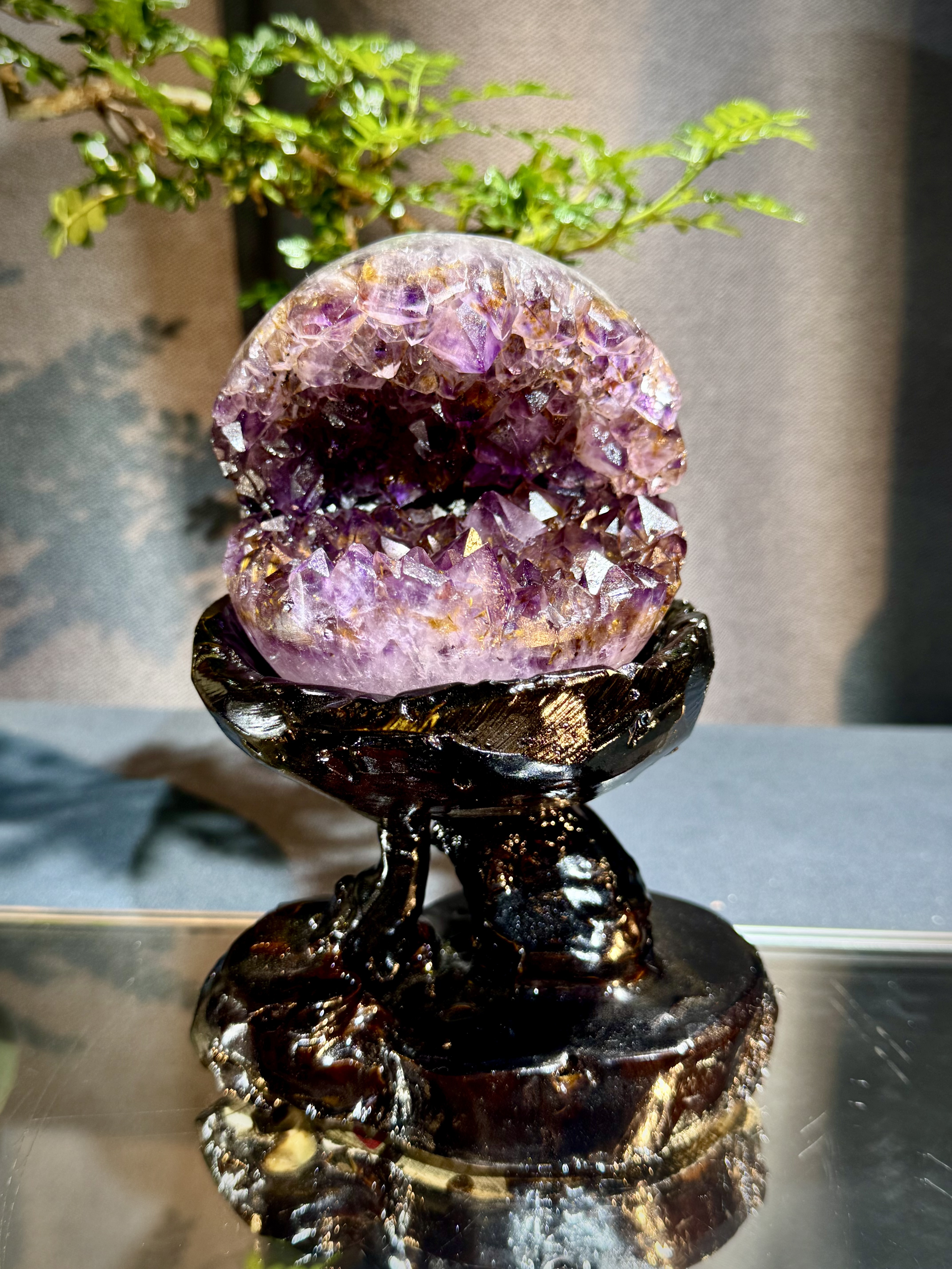 天花板紫鈦開口笑 8813