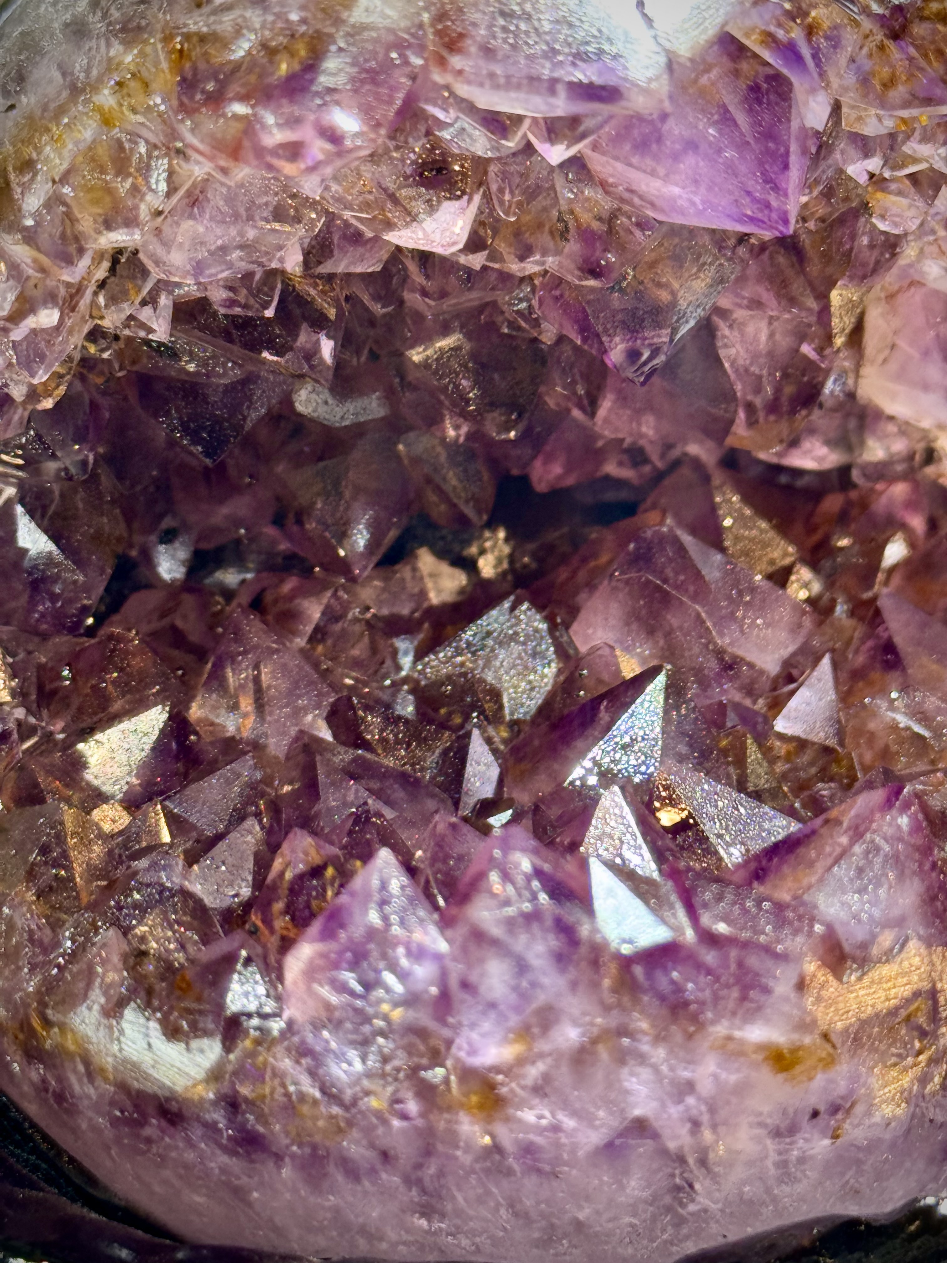 天花板紫鈦開口笑 8813