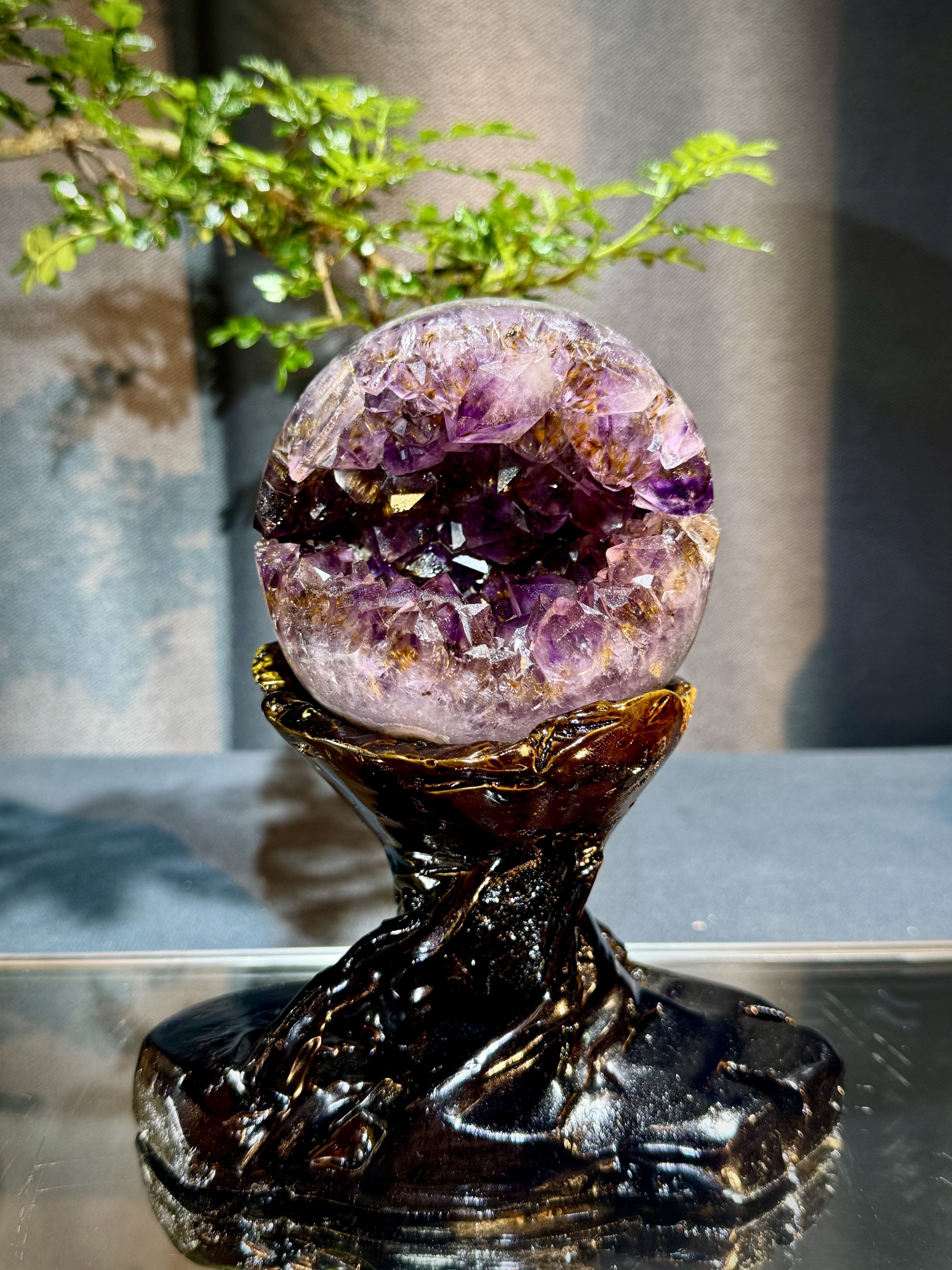 天花板紫鈦開口笑 8814