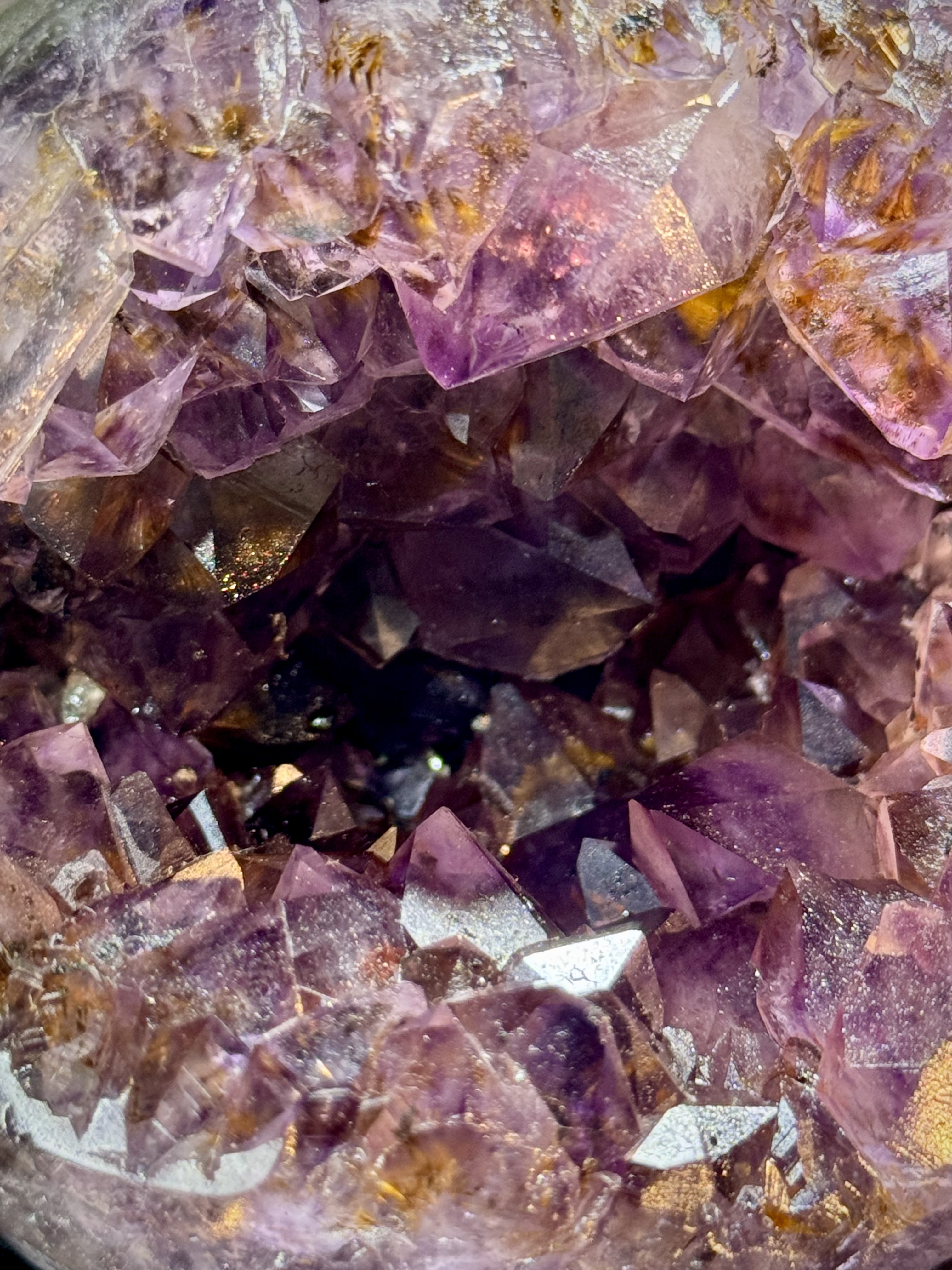 天花板紫鈦開口笑 8814