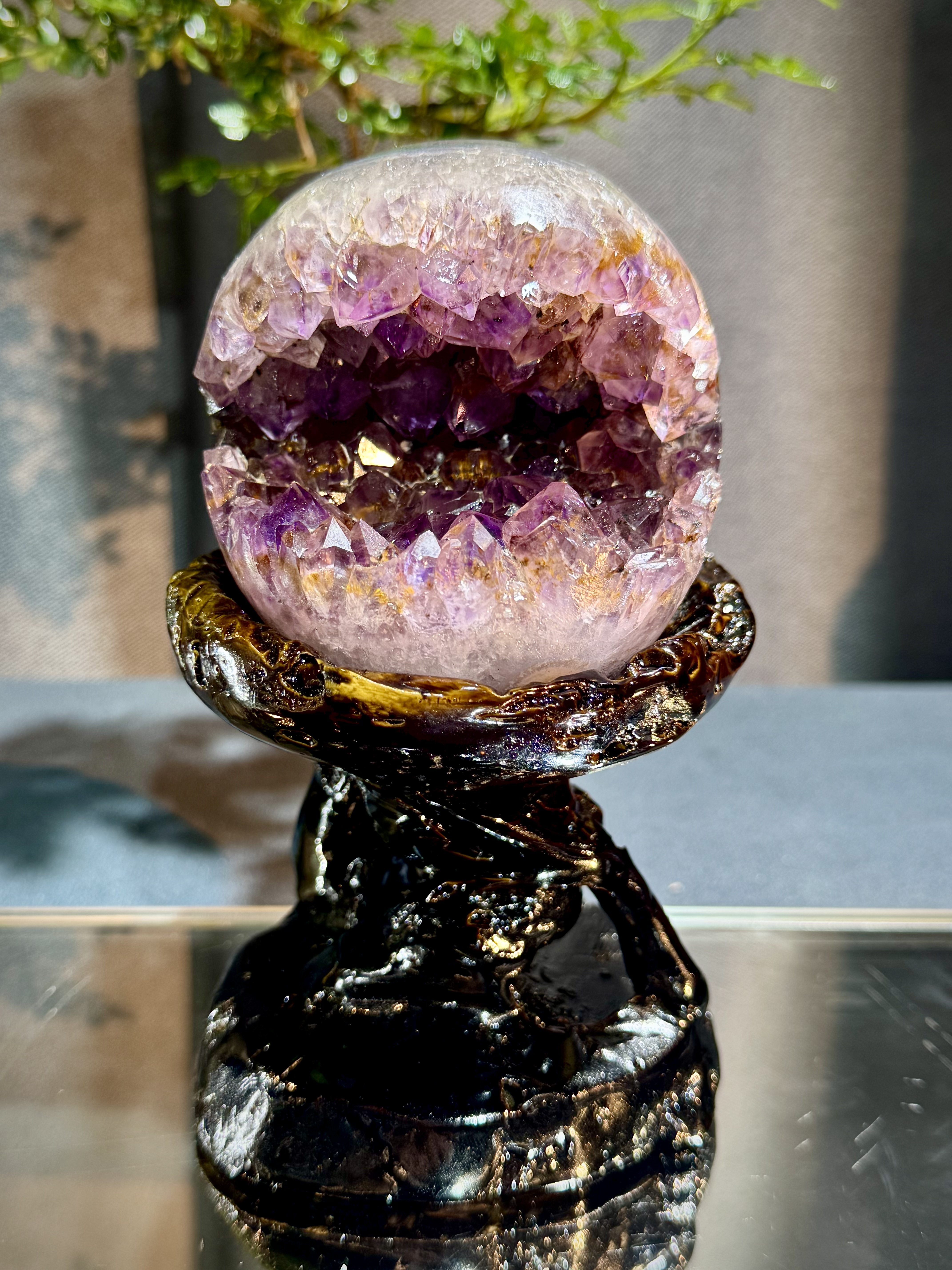 天花板紫鈦開口笑 8815