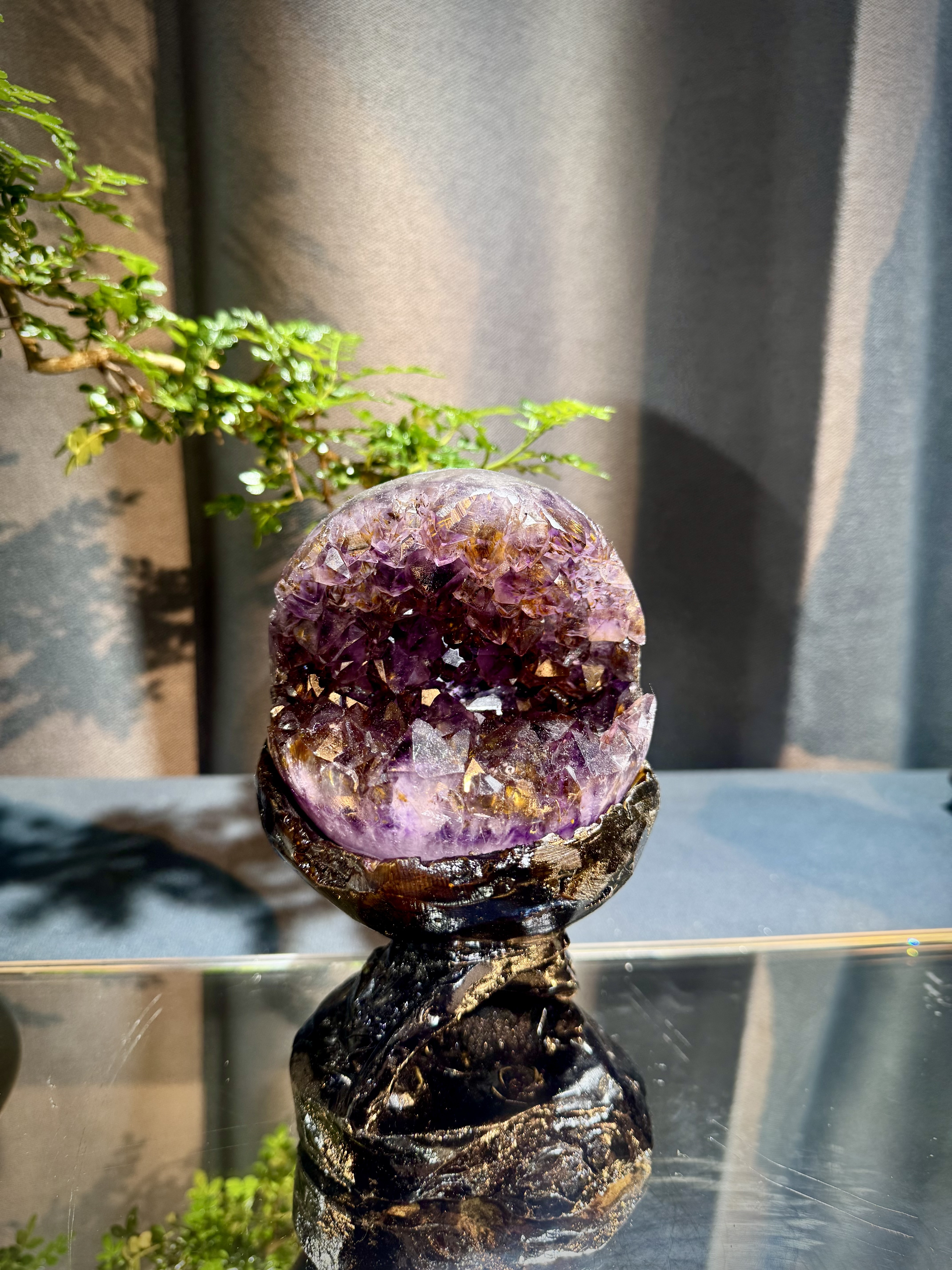 天花板紫鈦開口笑 8816