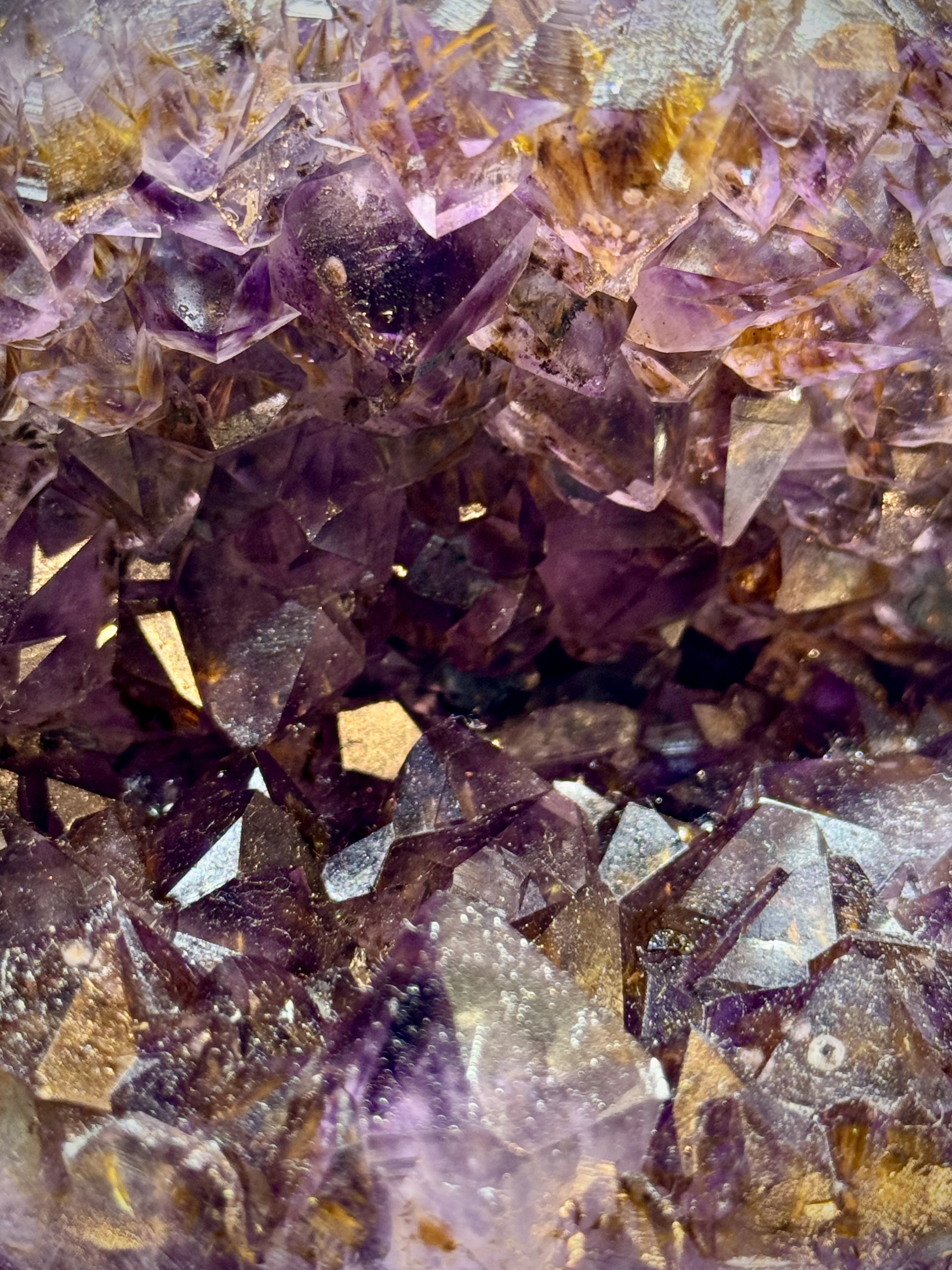 天花板紫鈦開口笑 8816