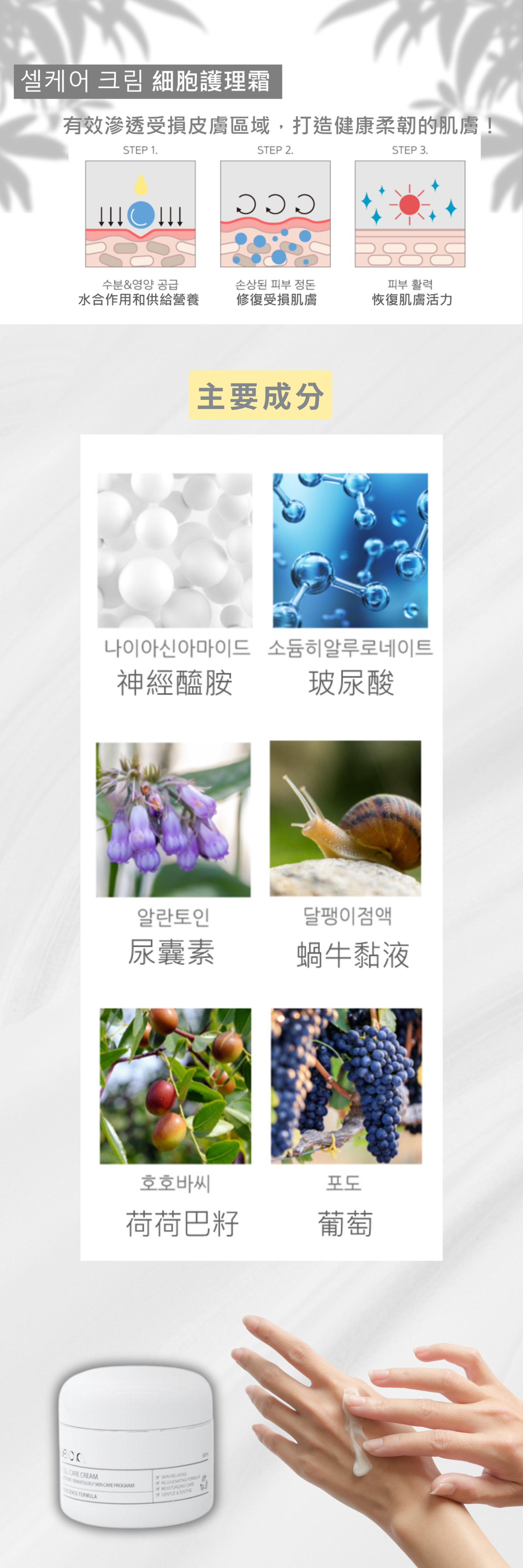 REBONCEL瑞本氏 細胞護理霜