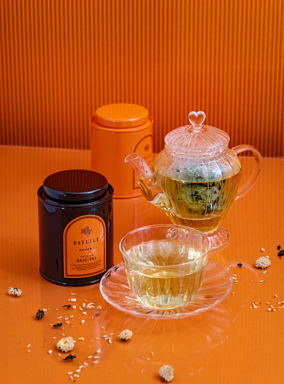 DAYLILY 菊花四季春茶