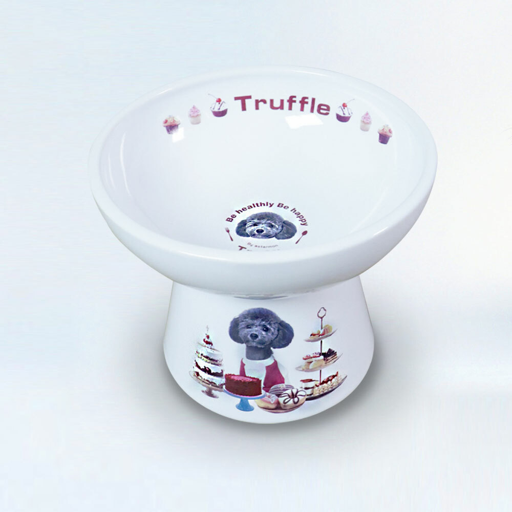 Personalized Wide Elevated Pet Ceramic Bowl - Shallow Dish for Neck Fatigue Relief, Easy Feeding， Durable Raised Food Bowl
