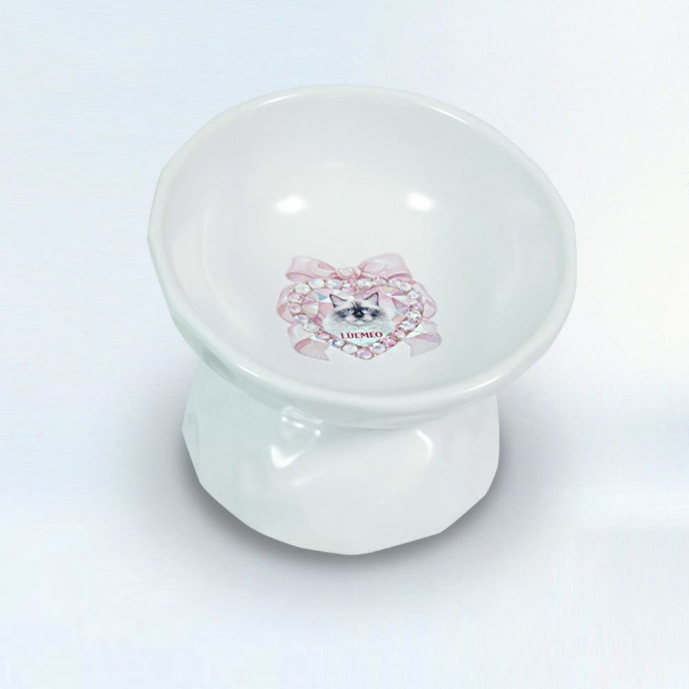 Personalized Elevated Pet Food Bowl, Ceramic Raised and Tilted Water Bowl, Anti Vomiting and Protect Pets' Spines Dishes for Small Dog, Fat Faced Cat, Kitten