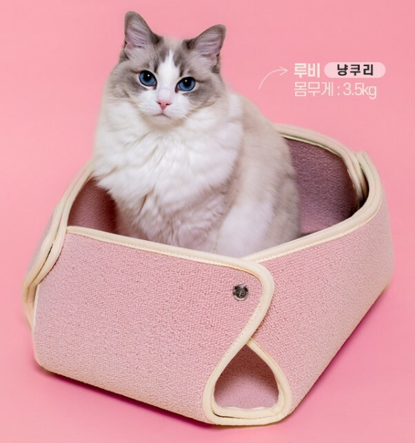 抓抓貓窩．小尺寸┃共五色