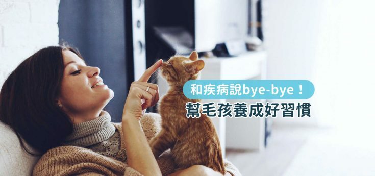 女飼主和小橘貓