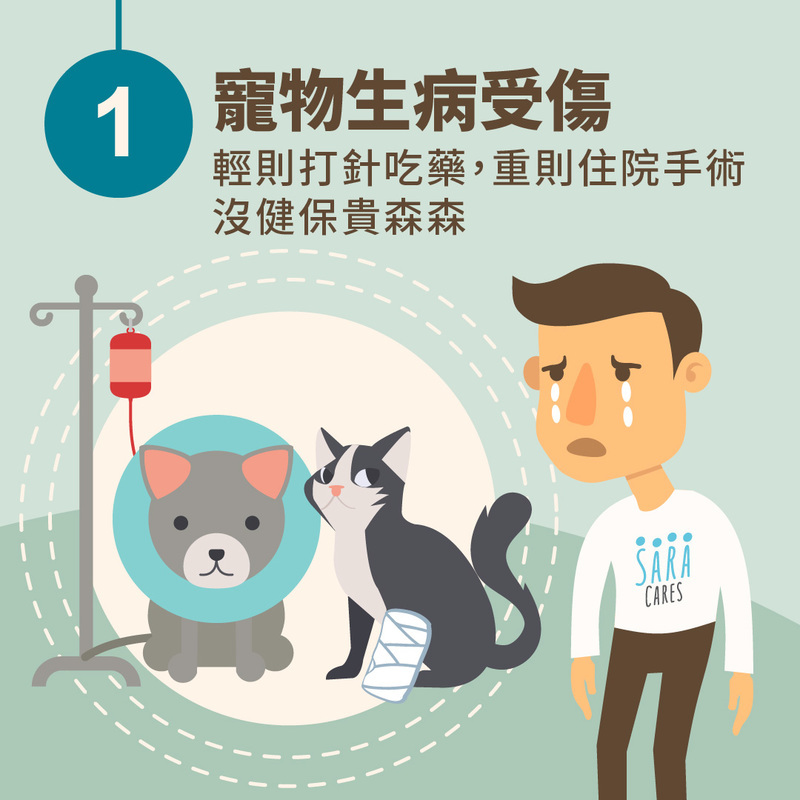 毛孩受傷生病