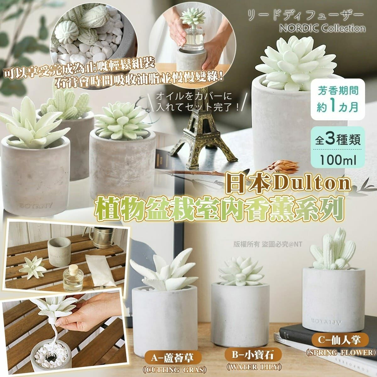 日本Dulton植物盆栽室內香薰系列