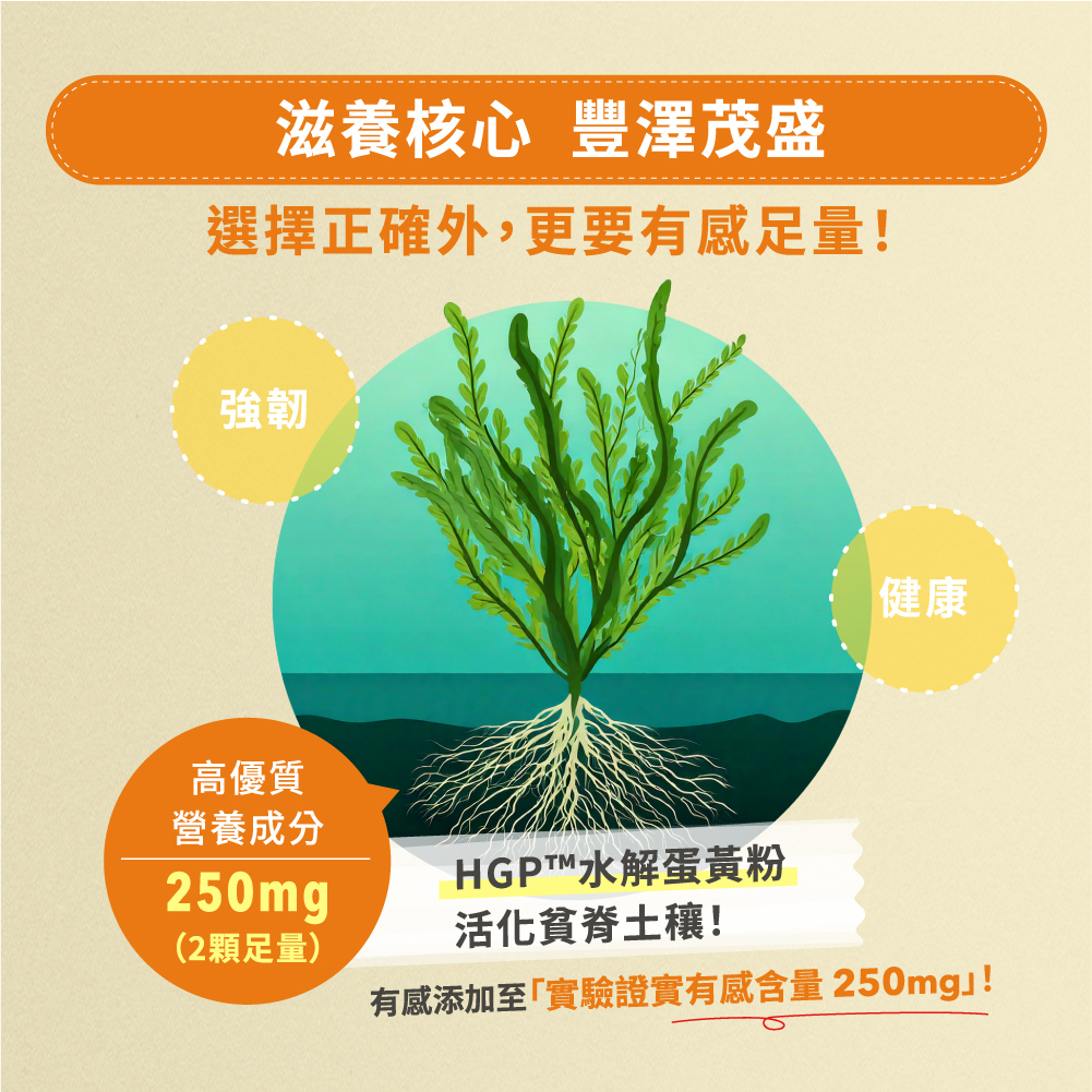 雲飛選擇生生茂滋養核心,豐澤茂盛,選擇正確外,更要有感足量。高優質營養成分125mg足量添加,活化貧脊土穰!