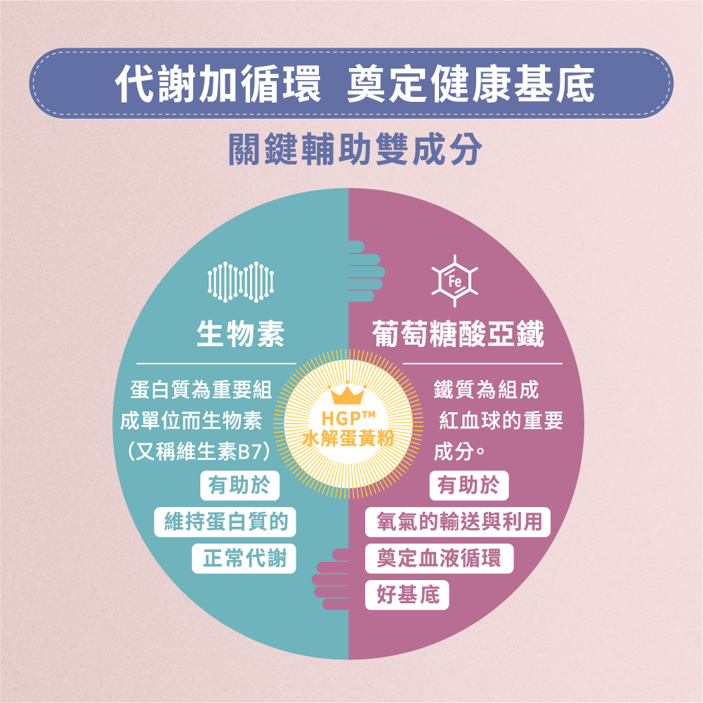 雲飛選擇生生茂關鍵輔助雙成分:生物素及葡萄糖酸亞鐵,代謝加循環,奠定健康基底。