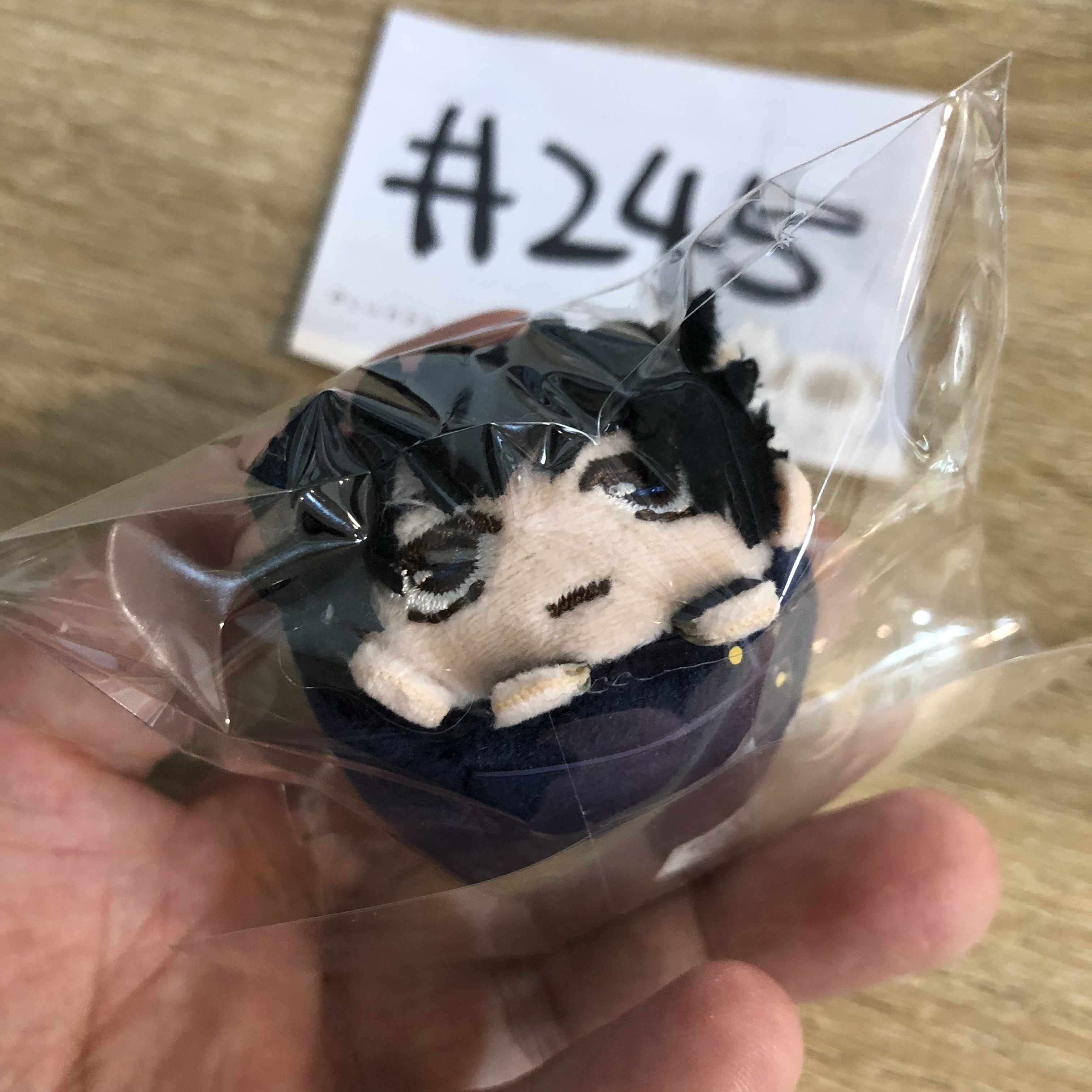 咒術迴戰  惠 mini公仔#245