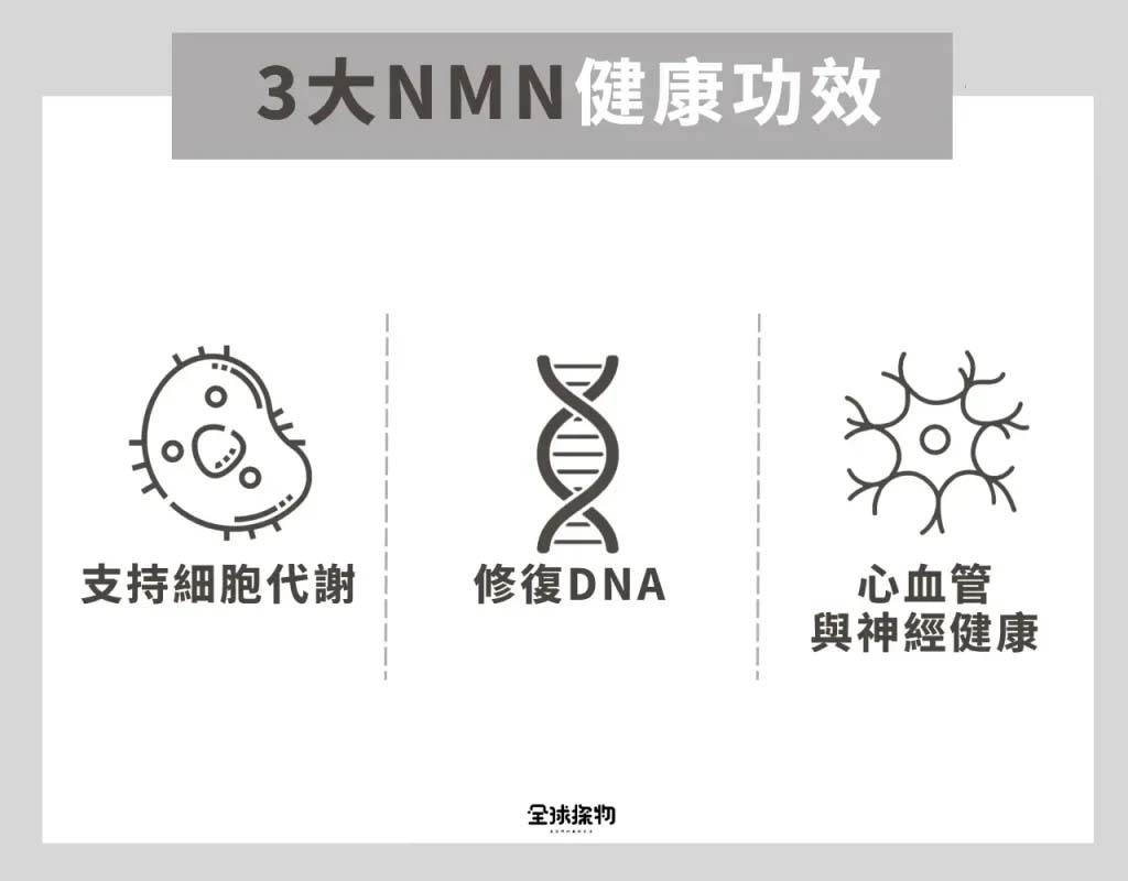 NMN的3大健康功效