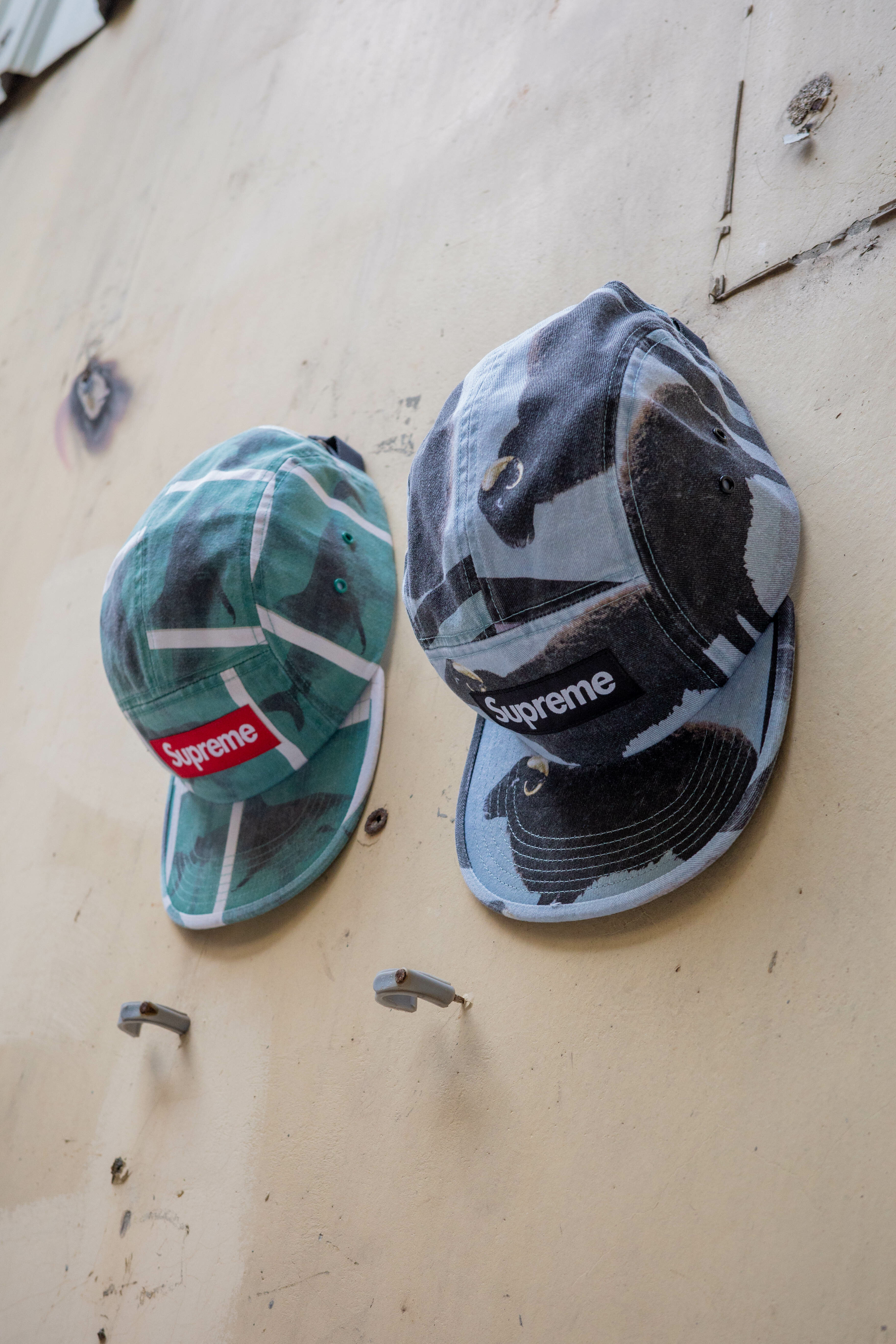 Supreme 五分割 山羊/鯊魚 Damien Hirst Camp Cap ss25h79