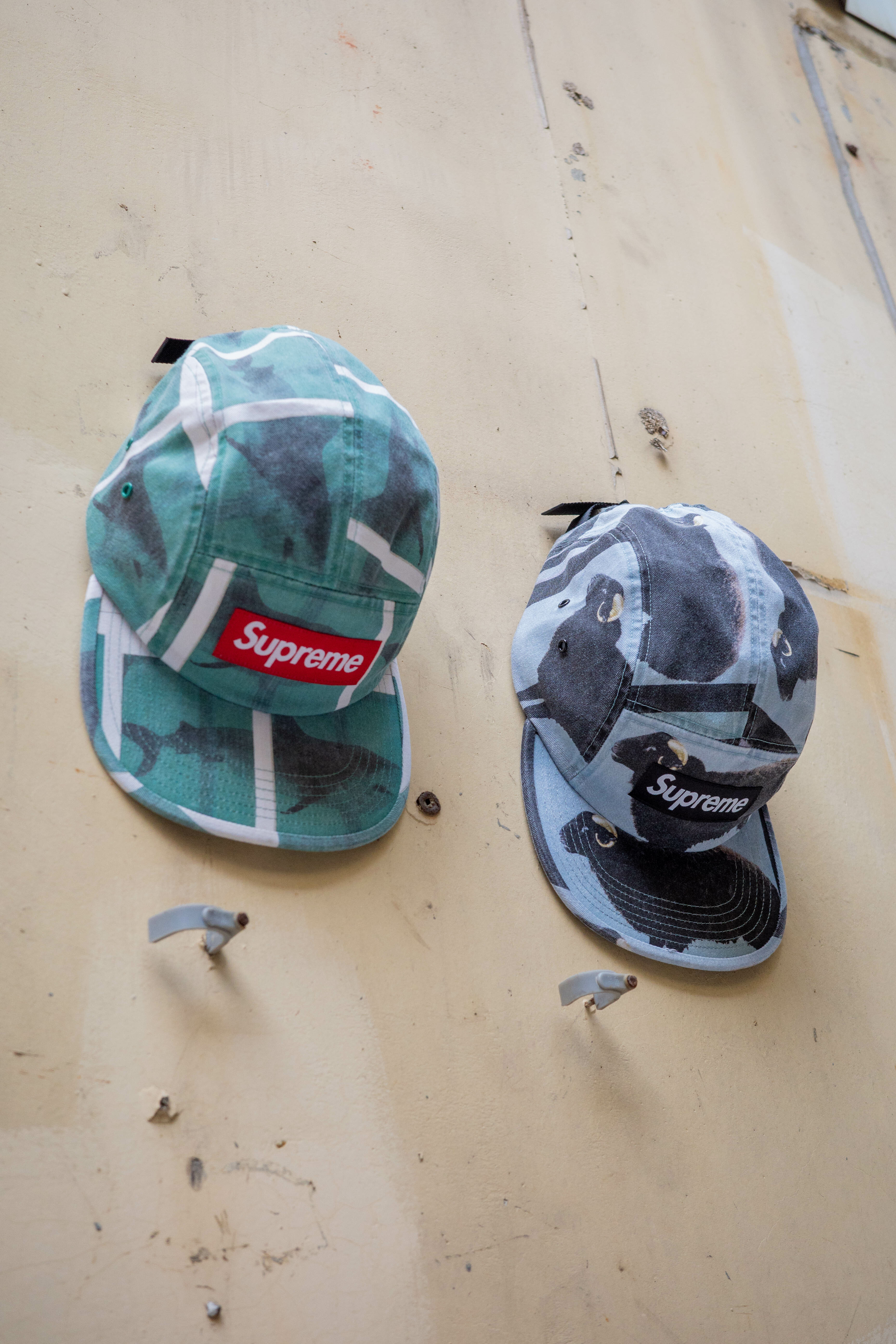 Supreme 五分割 山羊/鯊魚 Damien Hirst Camp Cap ss25h79