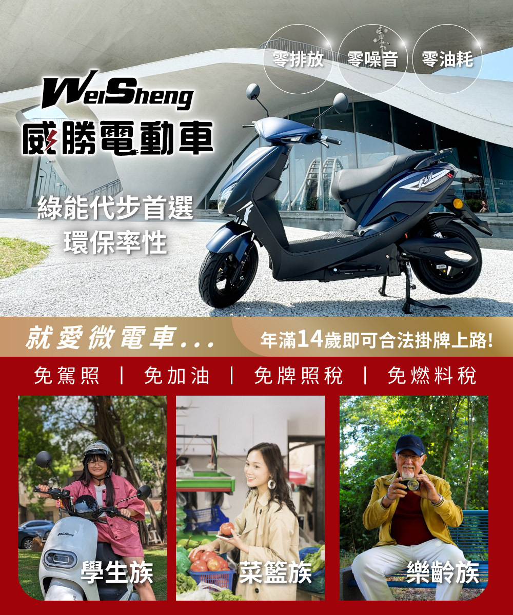 【威勝】TSV55 Flywing 飛翼 帥氣微型電動二輪車(免駕照/合法上路/微電車)