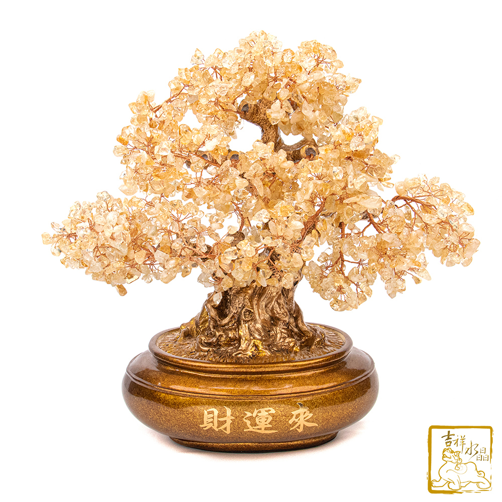 黃水晶財運來發財樹 3.4kg 財源廣進