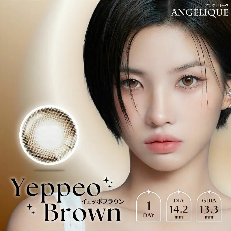 [日拋] Angelique 1 Day Yeppeo Brown｜彩妝隱形眼鏡｜每盒10片