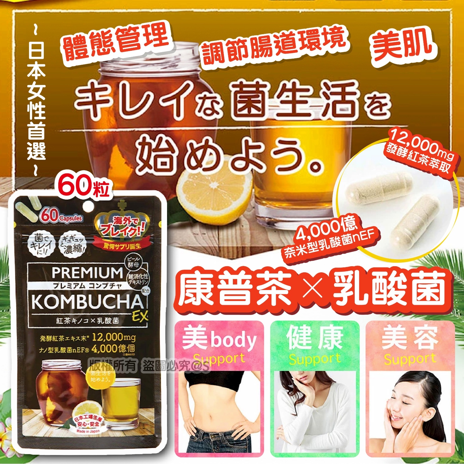 日本製 康普茶×乳酸菌