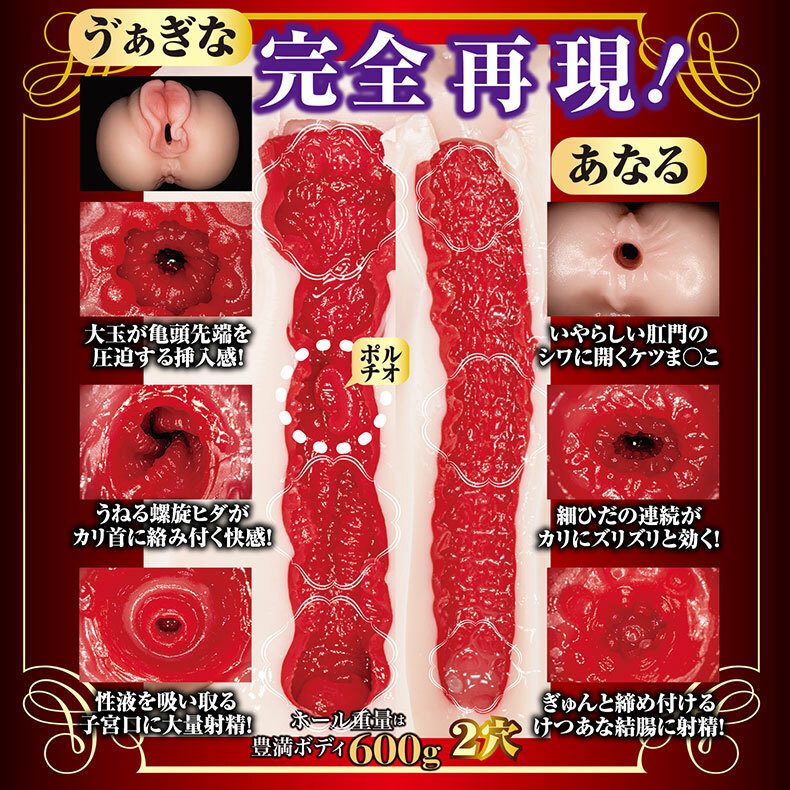 NPG|新熟女之星 山岸逢花|女優名器飛機杯