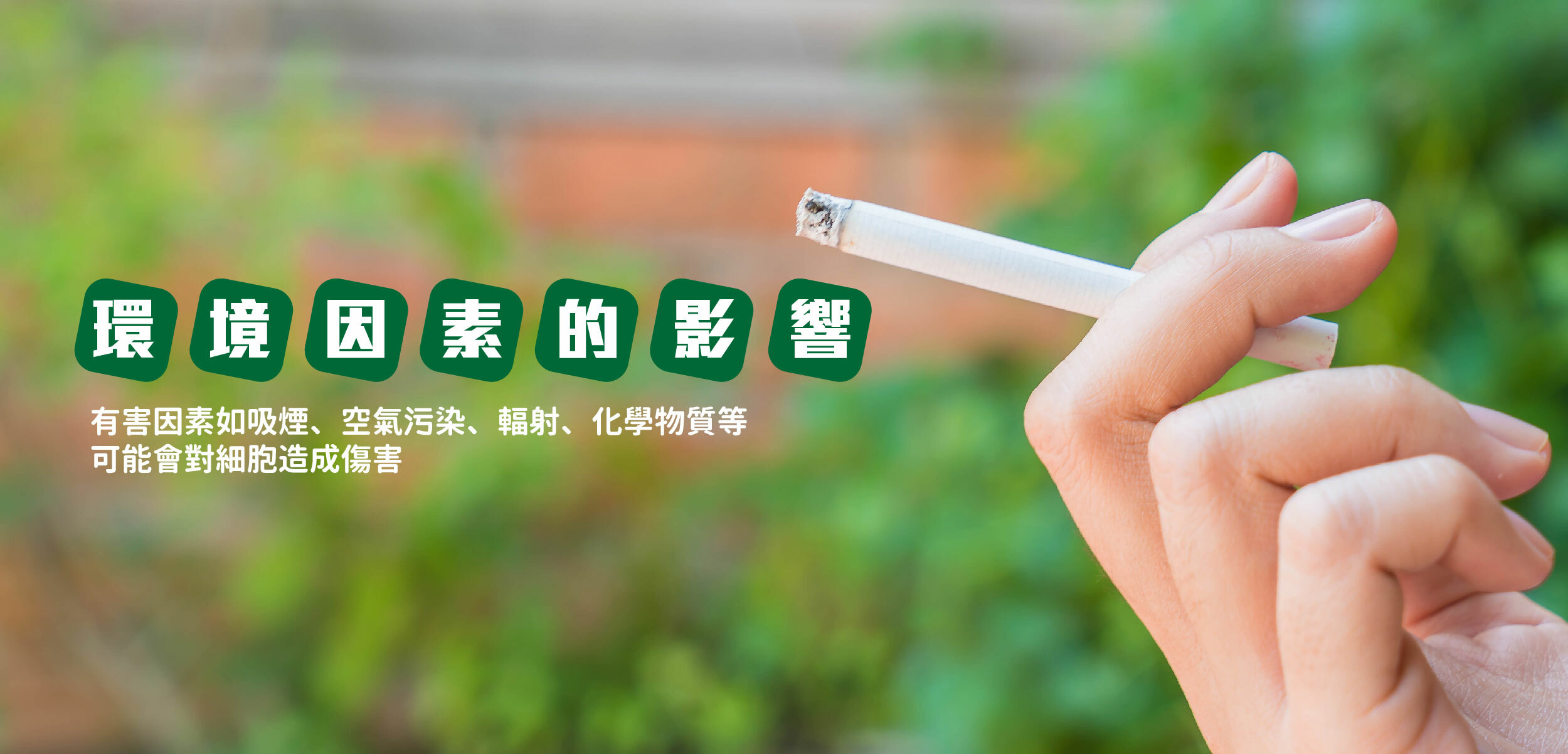 環境因素的影響：有害因素如吸煙、空氣污染、輻射、化學物質等可能會對細胞造成傷害，尤其是當這些物質長期暴露於體內，可能引發DNA損傷或破壞細胞內的抗氧化系統，讓細胞更易變異。