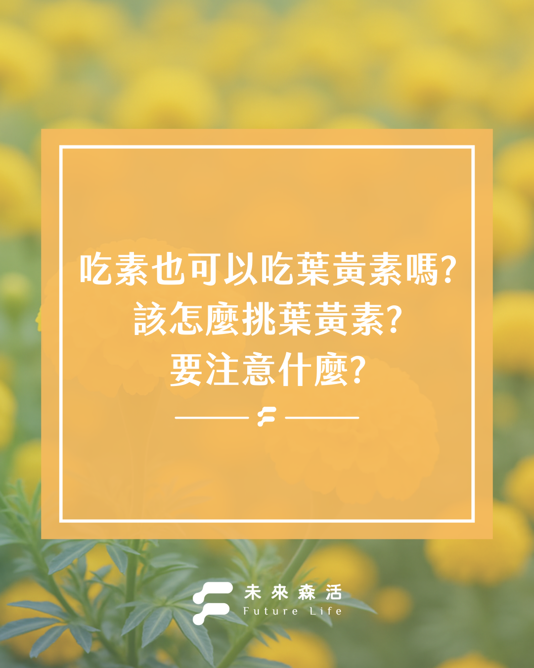 素食者能吃葉黃素嗎？營養師推薦的素食葉黃素，教你這樣挑