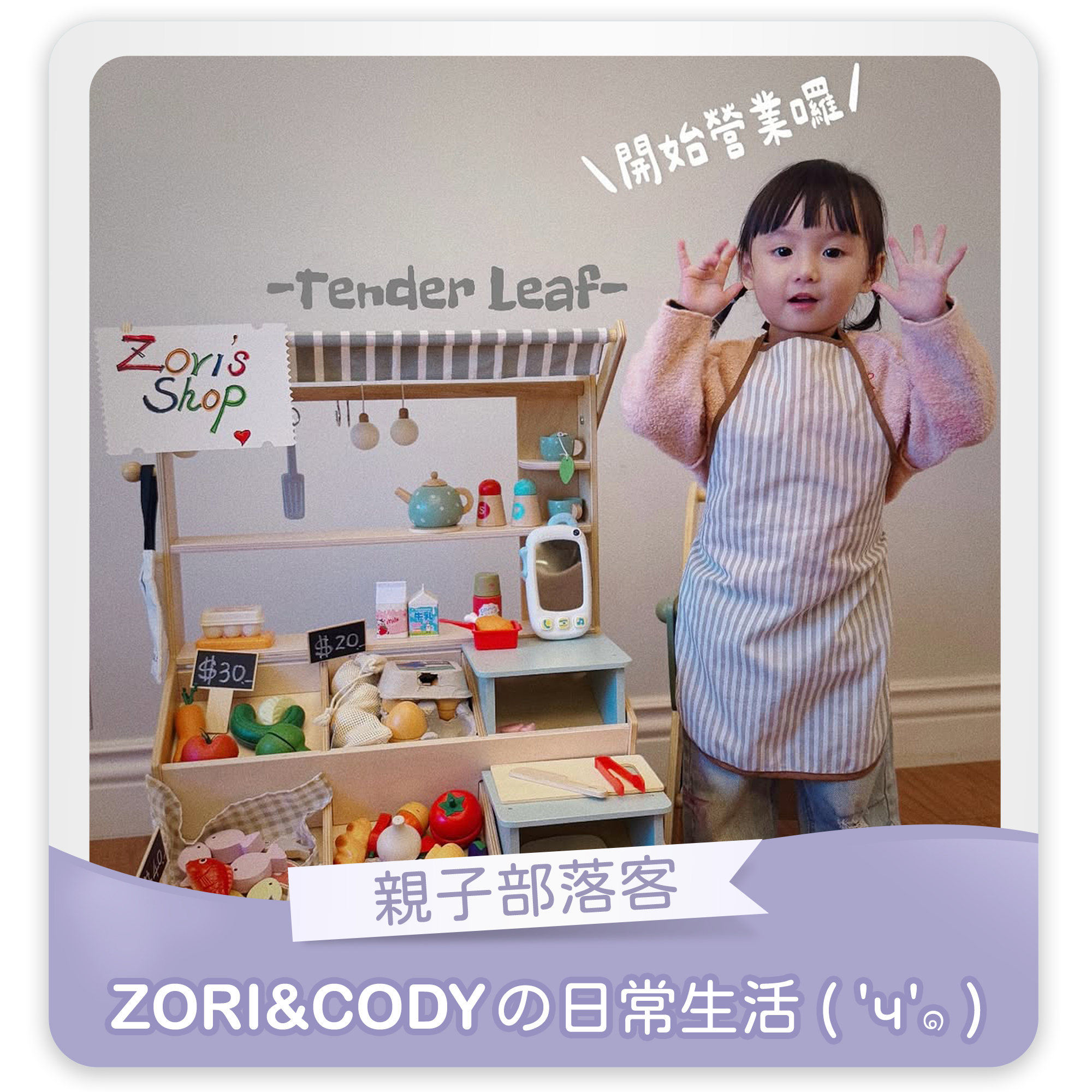 親子部落客 ZORI&CODY的日常生活推薦 Tender Leaf木製玩具