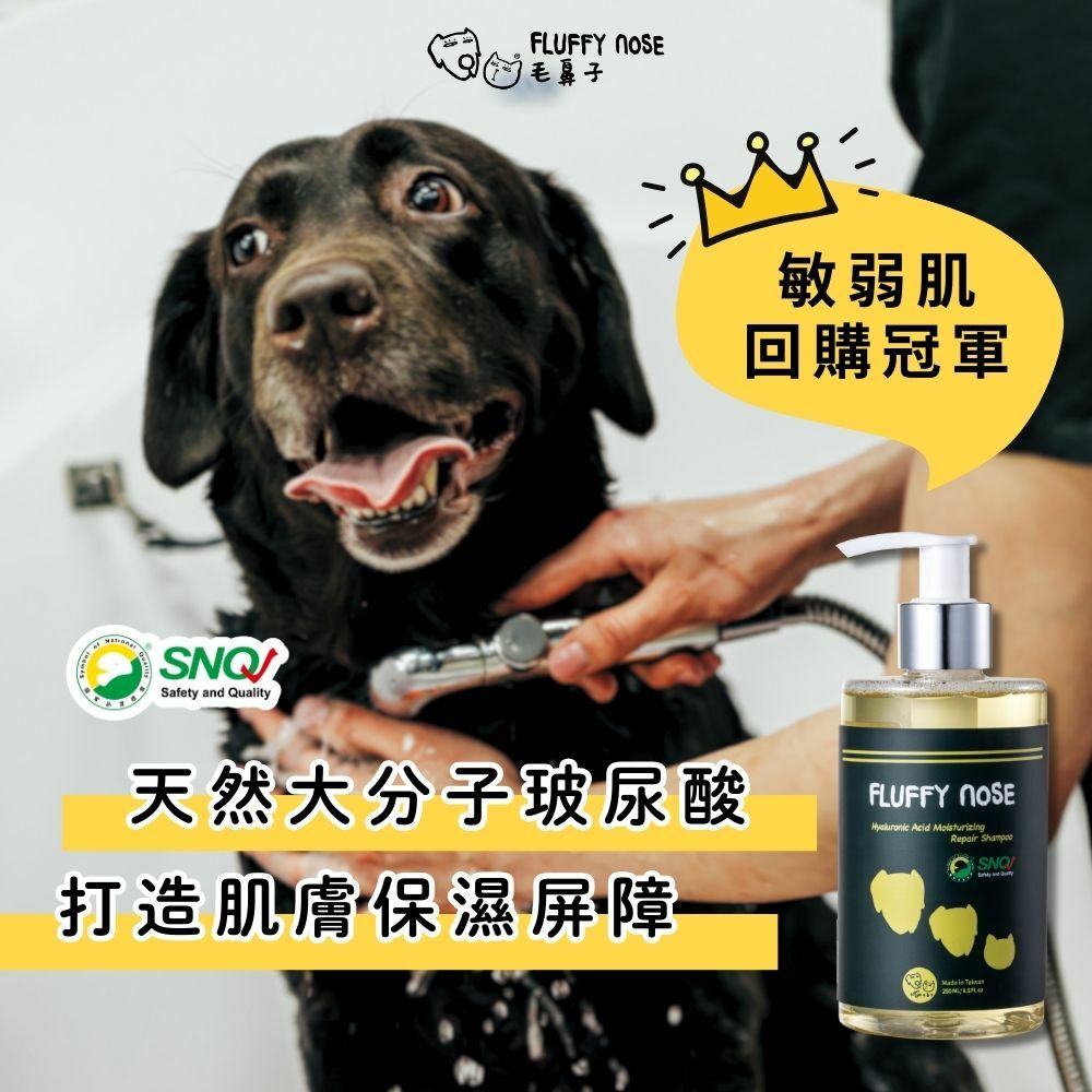 【全方位寵物洗澡養護組】深層清潔/日常免沖一次搞定｜寵物皮膚深層照護＋出門快速整理｜貓狗敏感肌適用