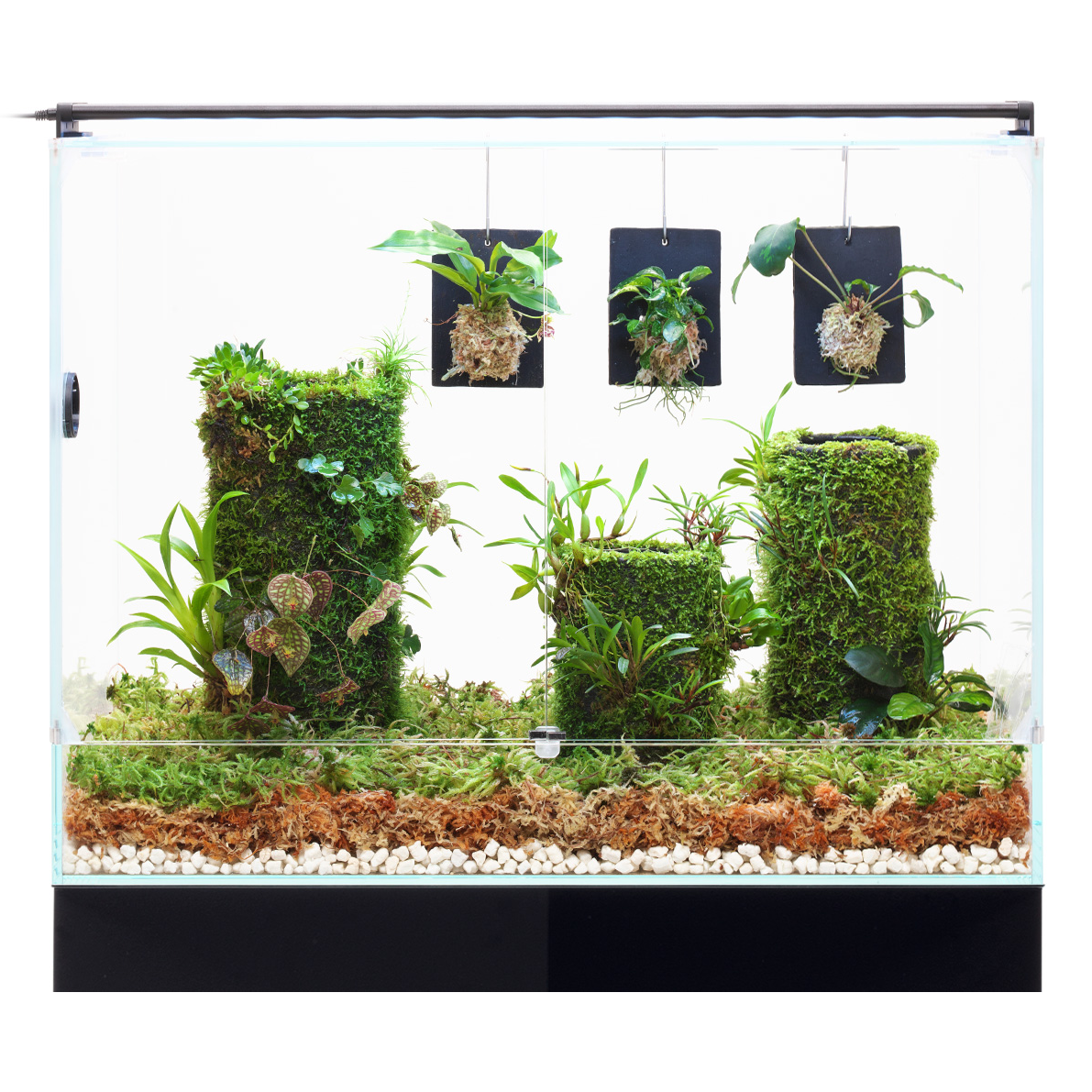 特價] DOOA Paluda Light