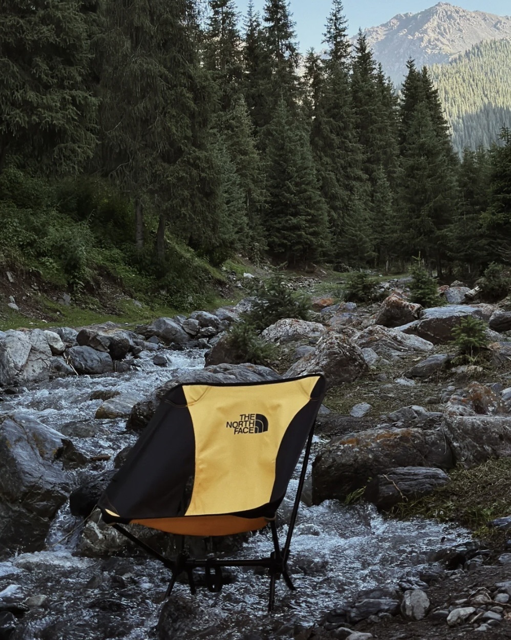 #現貨 THE NORTH FACE 北臉月亮椅 露營椅