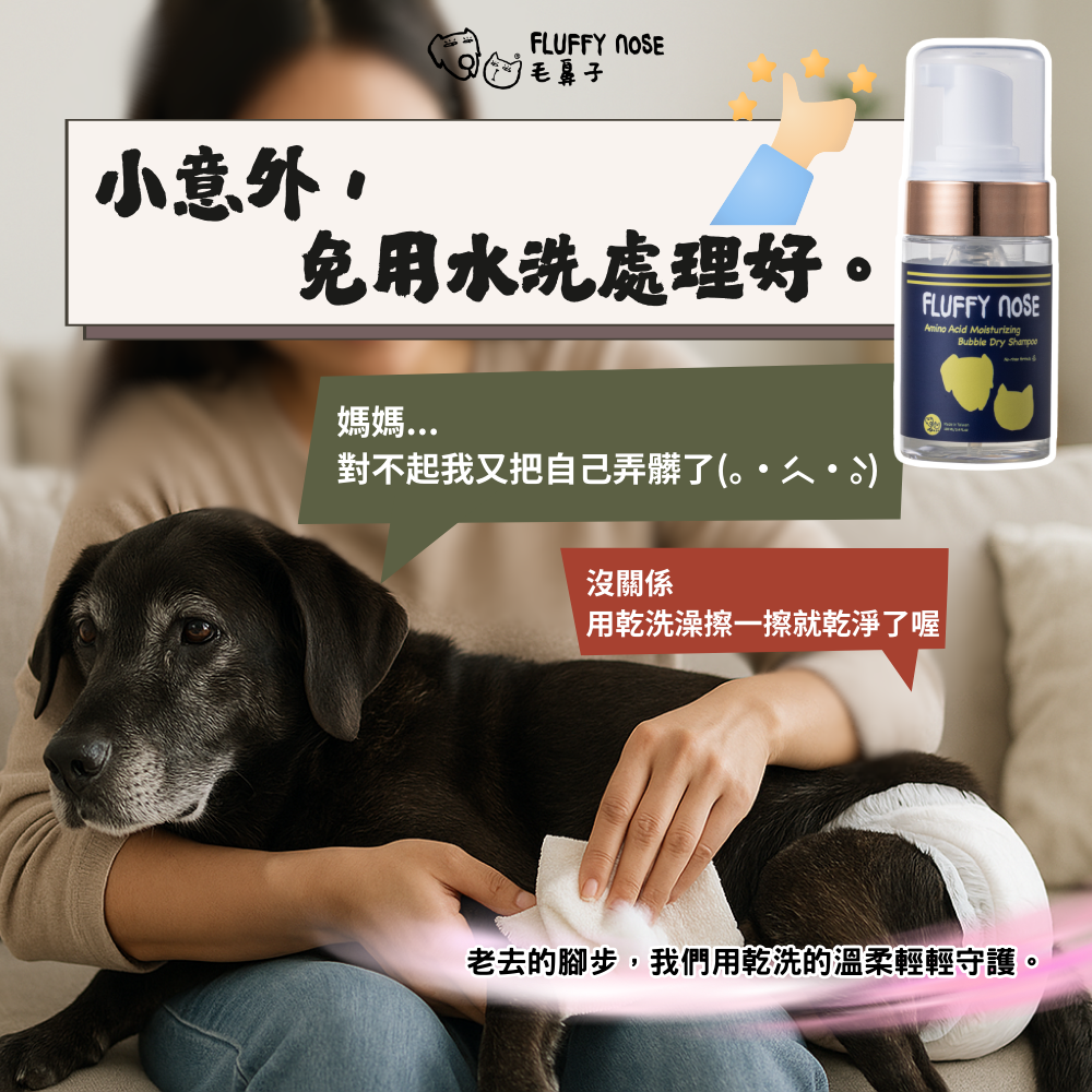 【寵物乾洗澡輕鬆外出組】外出除臭快速清潔喊人包｜泡泡乾洗澡＋芳香噴霧｜天然胺基酸保濕｜無需沖洗｜敏弱肌貓狗皆適用
