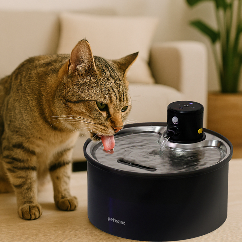 PETWANT 自動感應無線寵物飲水機3L (不鏽鋼飲水盤) W5-L