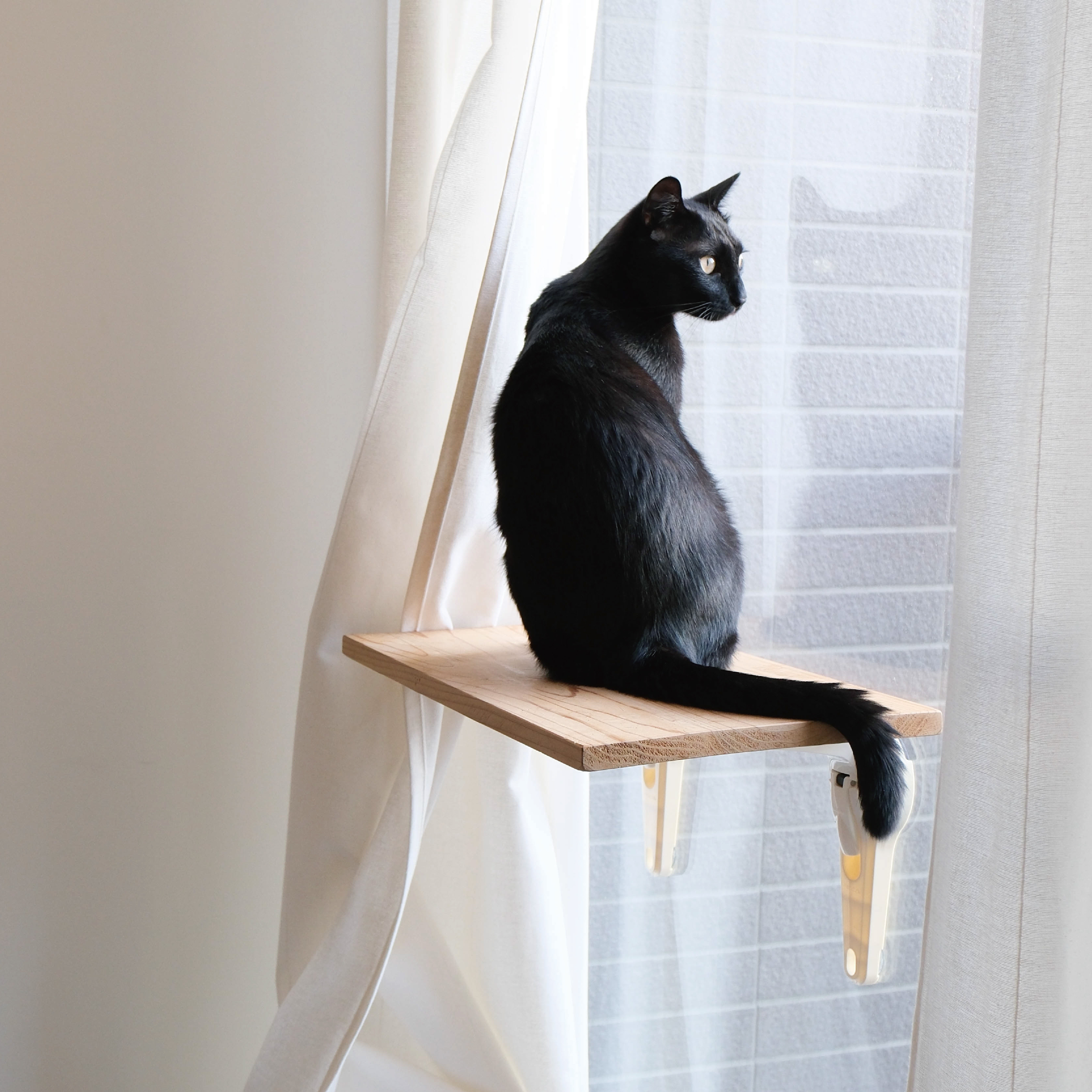 original.jpg?1745914639