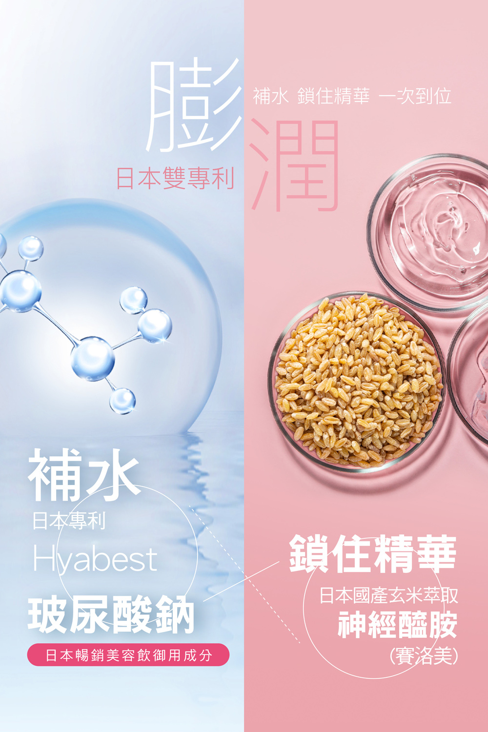 桂格康研家晚美啵啵膠囊,日本雙專利,玻尿酸鈉補水、神經醯胺鎖住精華,一次到位,膨潤有感。