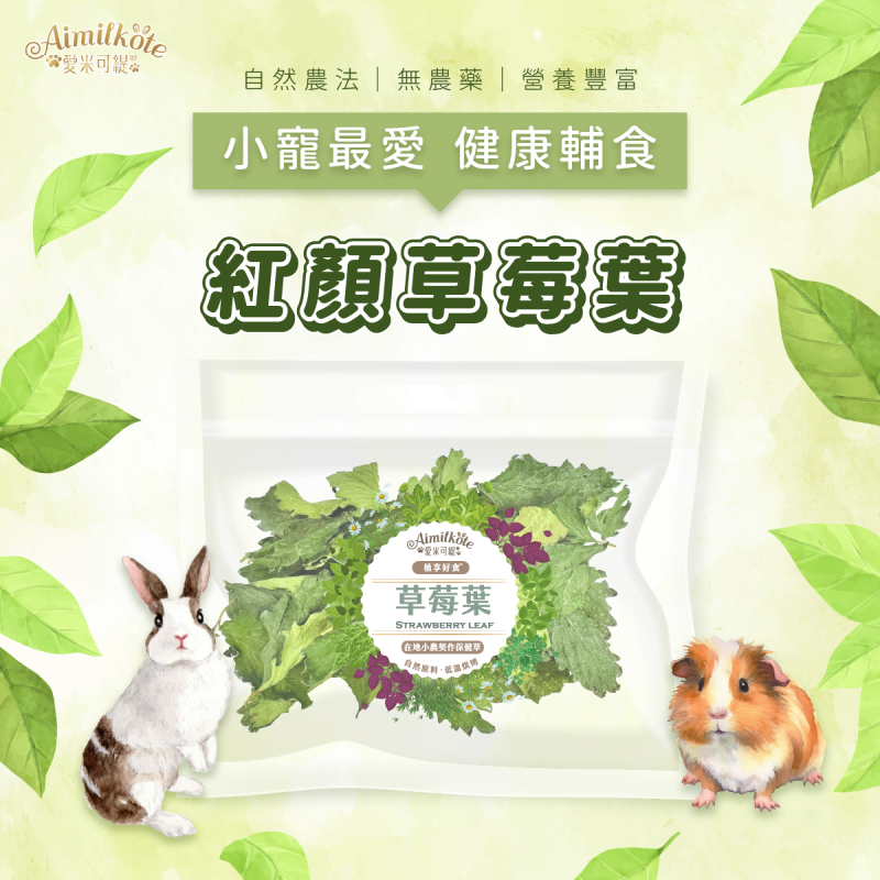 [台灣種植無添加] 愛米可緹草莓葉 - 12g