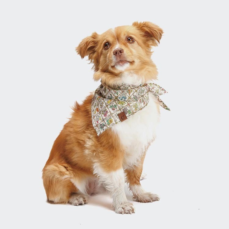 CLOUD7 - 格紋與花領巾