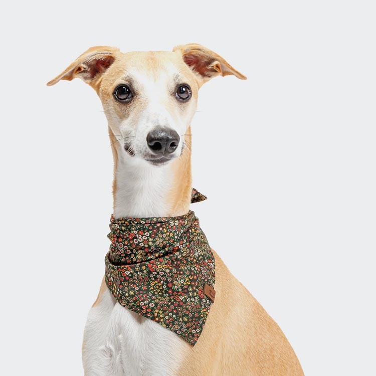 CLOUD7 - 繁花之夜領巾