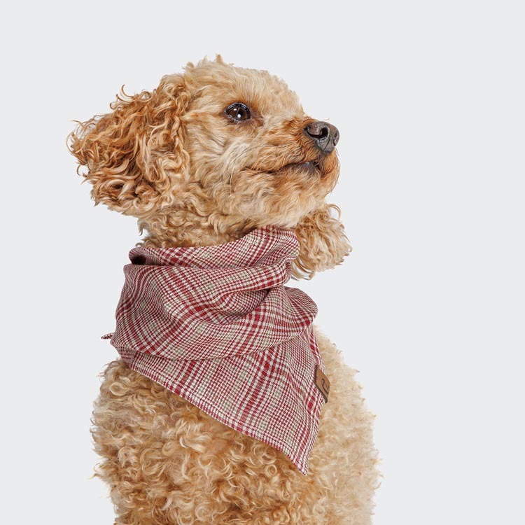 CLOUD7 - 格紋紅領巾