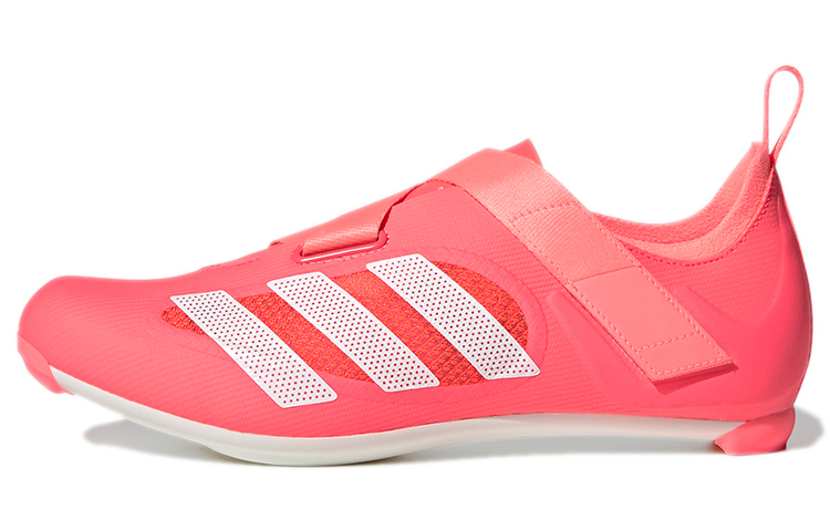 【代購】Adidas Indoor Cycling 'Turbo'