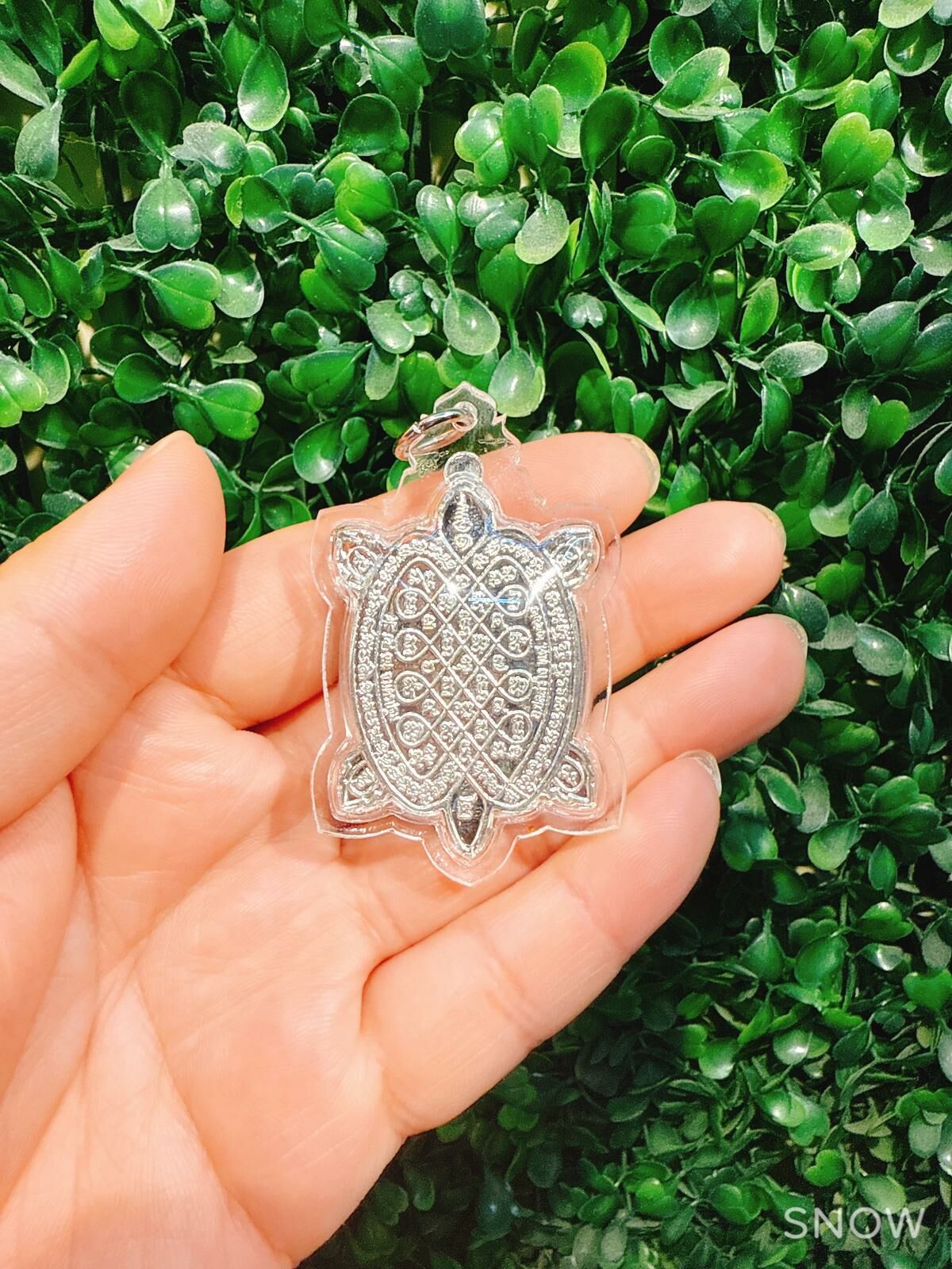 龍婆柳-《招財龜牌》2567 綠綠無窮 源源不絕來財 連手工傳統防水包殼