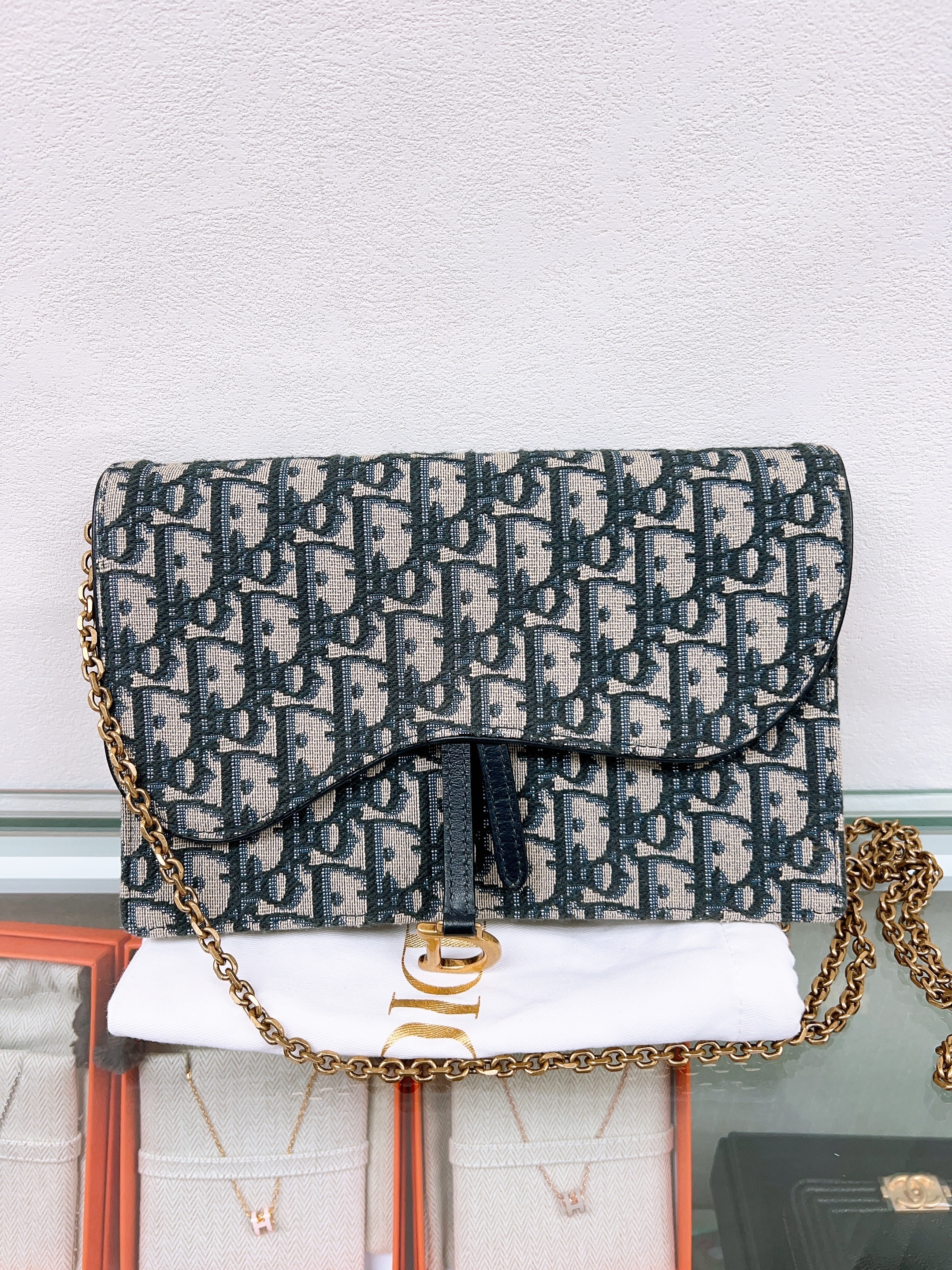 Dior saddle woc wallet on chain