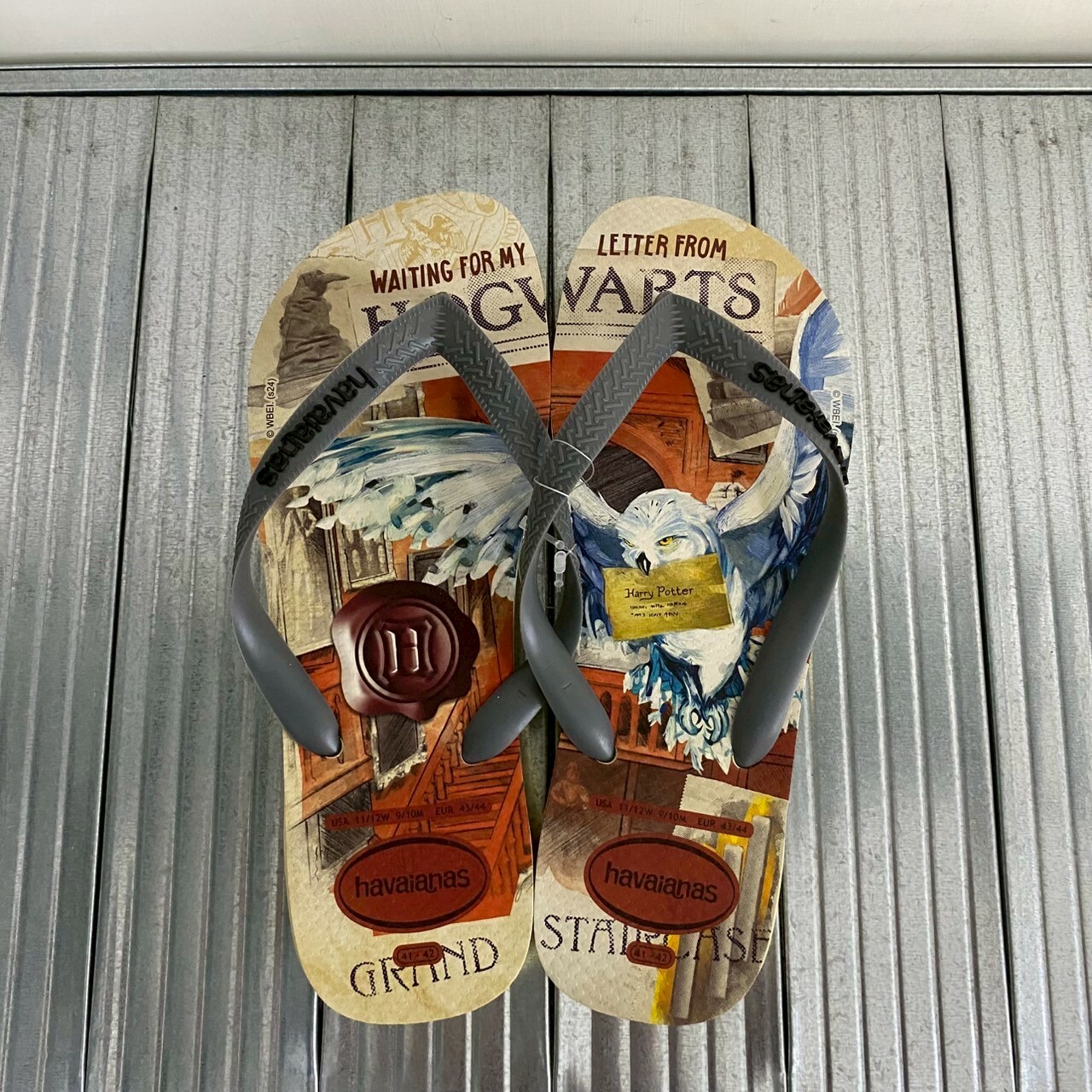 Havaianas 哈瓦仕 拖鞋 男女鞋 霍格華茲 Top Warner Classics 4149890-9256U