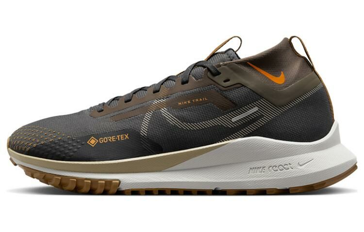 【代購】Nike Pegasus Trail 4 Gore Tex Anthracite Ironstone