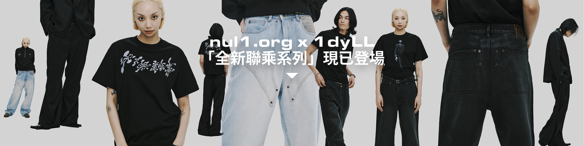 nul1.org x 1dyll