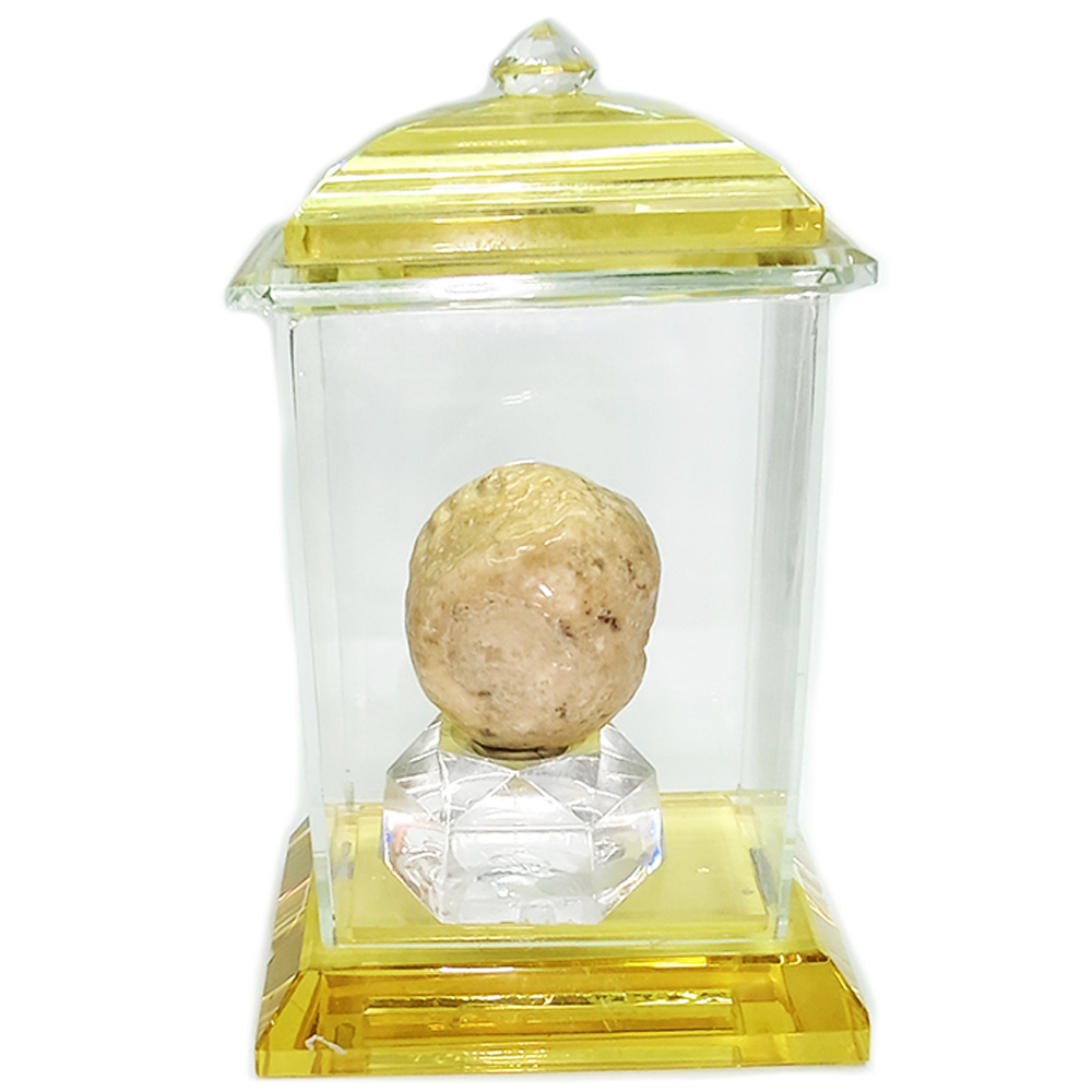 跳出舍利龍宮舍利32mm含水晶龕【十方】131868