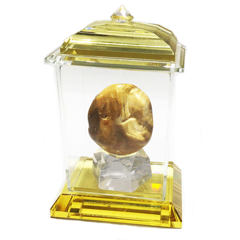 跳出舍利龍宮舍利35mm含水晶龕【十方】131711