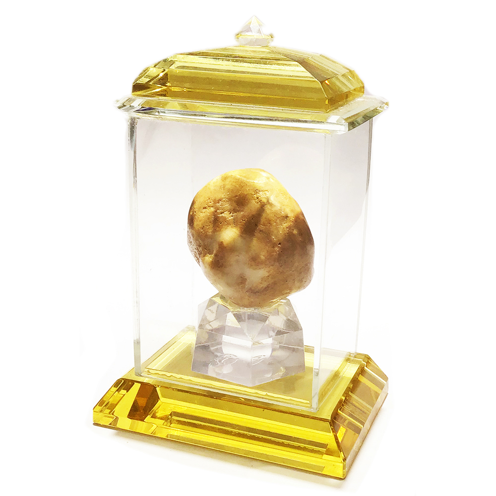 跳出舍利龍宮舍利35mm含水晶龕【十方】131711