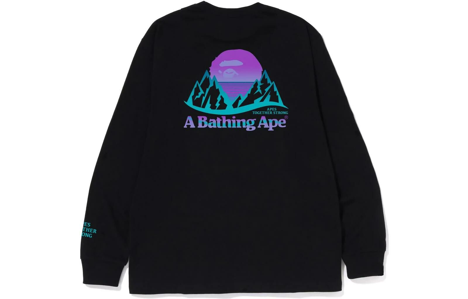 【代購】A BATHING APE Bape Mountain L/S Tee FW22